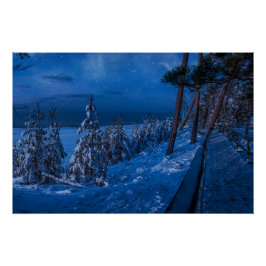 Waldweg in der Winternacht Poster