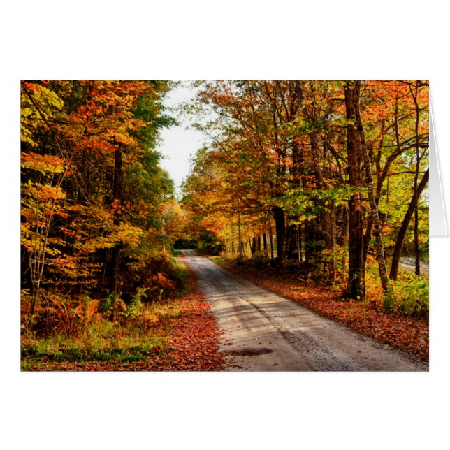 Waldweg mit Laubwaldbewuchs (Vorderseite (Horizontal))