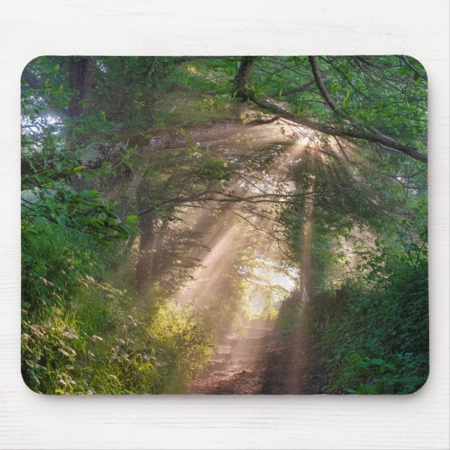 Waldweg Mousepad (Vorne)
