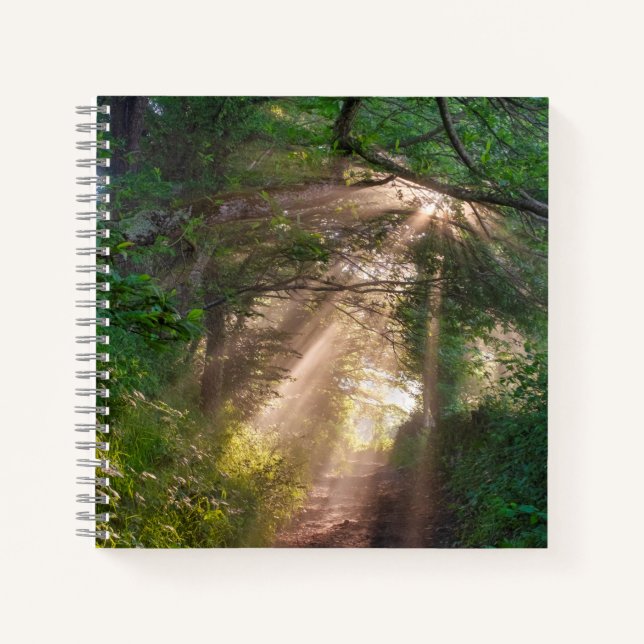 Waldweg Notizbuch (Vorderseite)