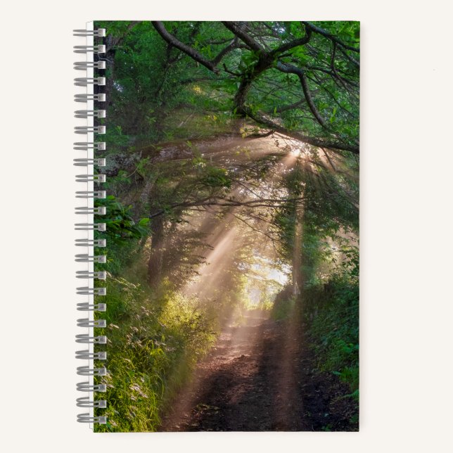 Waldweg Notizbuch (Vorderseite)