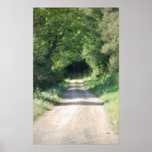 Waldweg oder -Schotterweg in der Landseite Poster