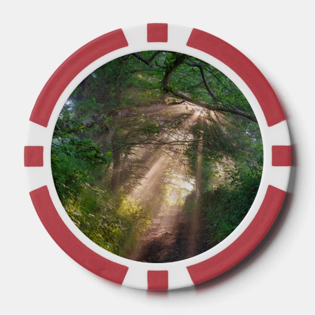 Waldweg Pokerchips (Vorderseite)
