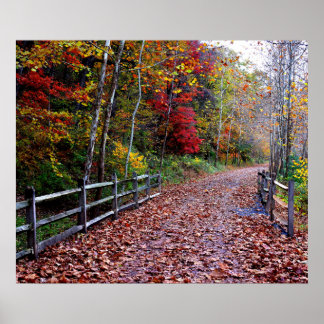 Waldweg Poster