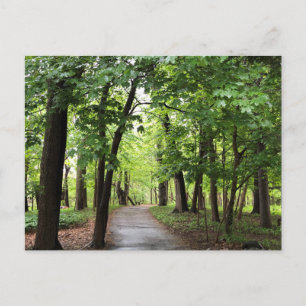 Waldweg Postkarte