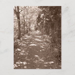 Waldweg - Sepia Postkarte
