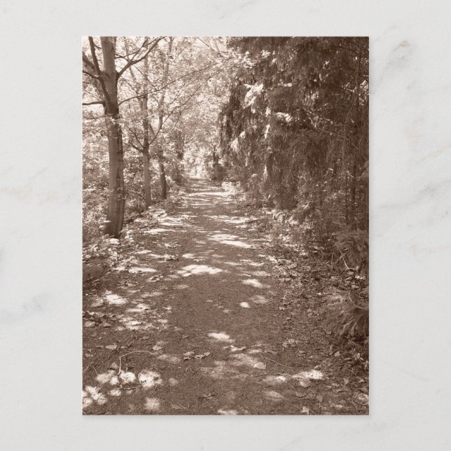 Waldweg - Sepia Postkarte (Vorderseite)