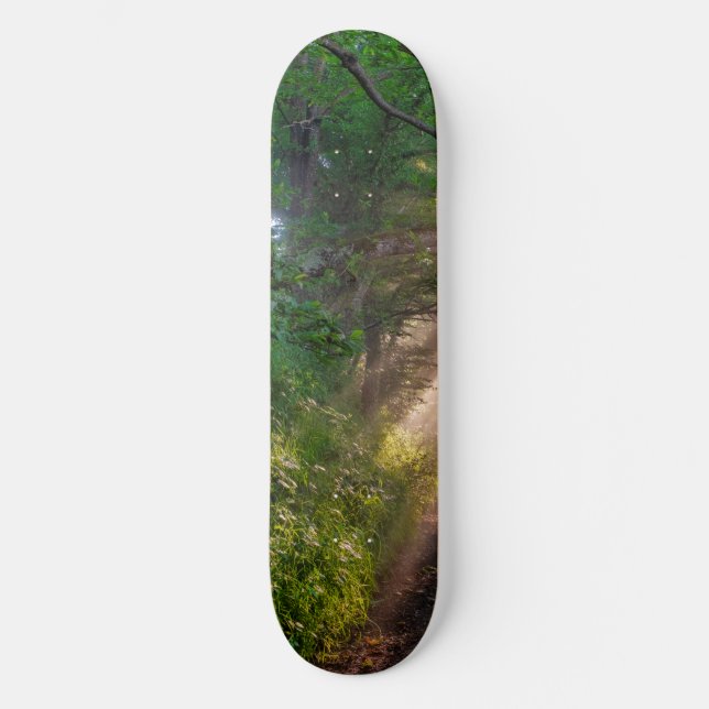 Waldweg Skateboard (Vorderseite)