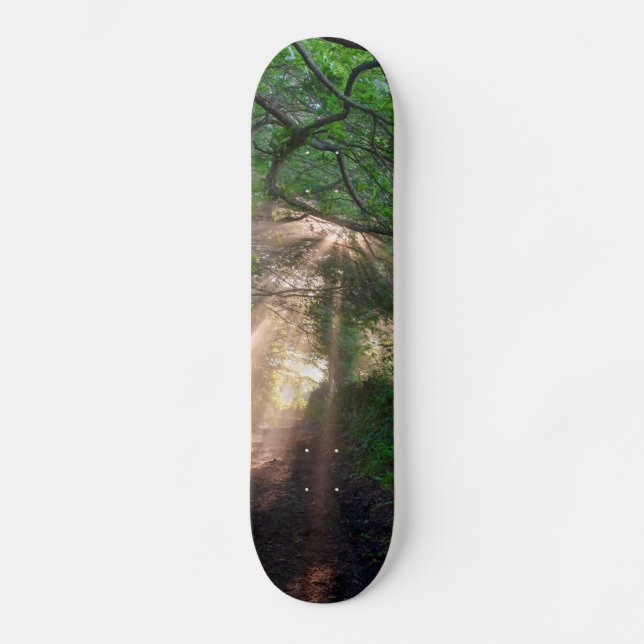 Waldweg Skateboard (Vorderseite)