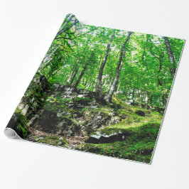 Waldwege Wandern im Wales Neath Valley Geschenkpapier