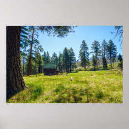 Waldwiesen-Wandkunst | Kiefernwald-Szene Poster