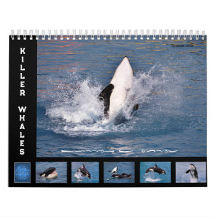 Wale 12 Monate Kalender