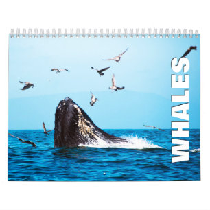 Wale 2022 Mauerkalender Kalender