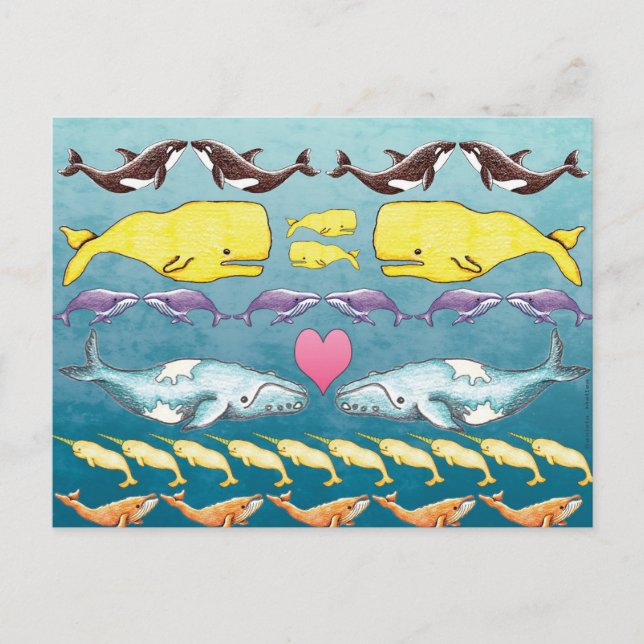 Wale des Meeres Postkarte (Vorderseite)