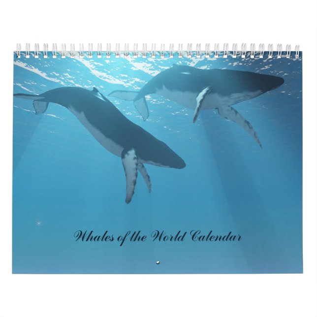 Wale des Weltkalenders Kalender (Titelbild)