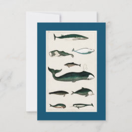 WALE FISH Scuba Diving RSVP Karte