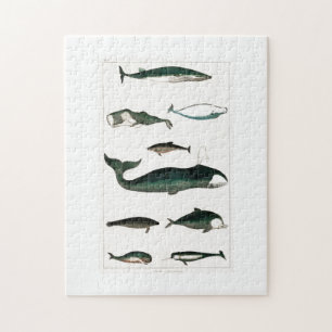 Wale Ocean Sea Water Orca Puzzle