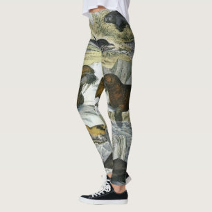 Wale, Robben und Walrosse, Vintage Meereslebewesen Leggings