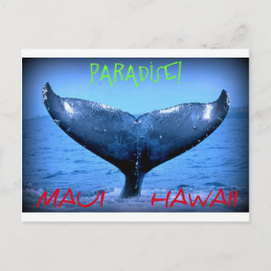 WALE SCHWANZ MAUI PARADISE HAWAII POSTKARTE