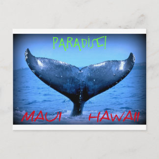 WALE SCHWANZ MAUI PARADISE HAWAII POSTKARTE