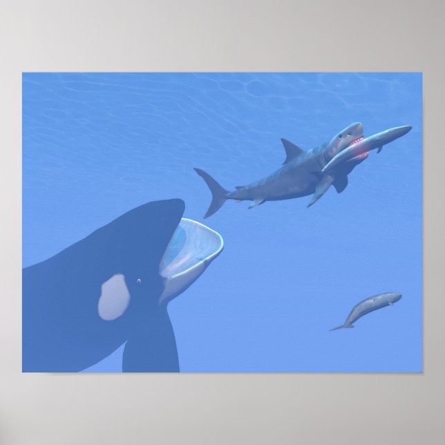 Wale und Megalodon unter Wasser - 3D-Darstellung Poster (Vorne)