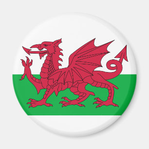 Walenflagge Magnet