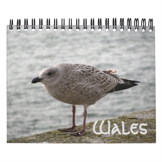 Wales 2022 Calendar Kalender (Titelbild)