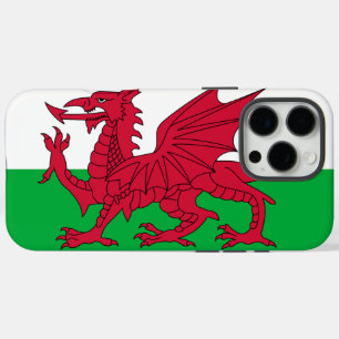 Wales iPhone 16 Pro Max Hülle