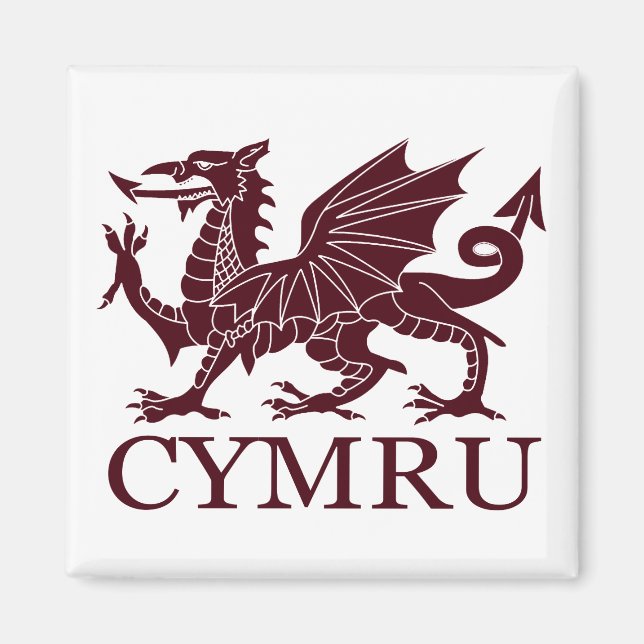 Wales CYMRU Magnet (Vorne)