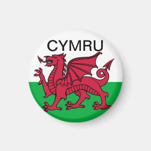Wales Flag Weltmeisterschaft 2022 Roter Drache Cym Magnet