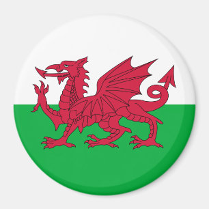 Wales-Flagge Magnet