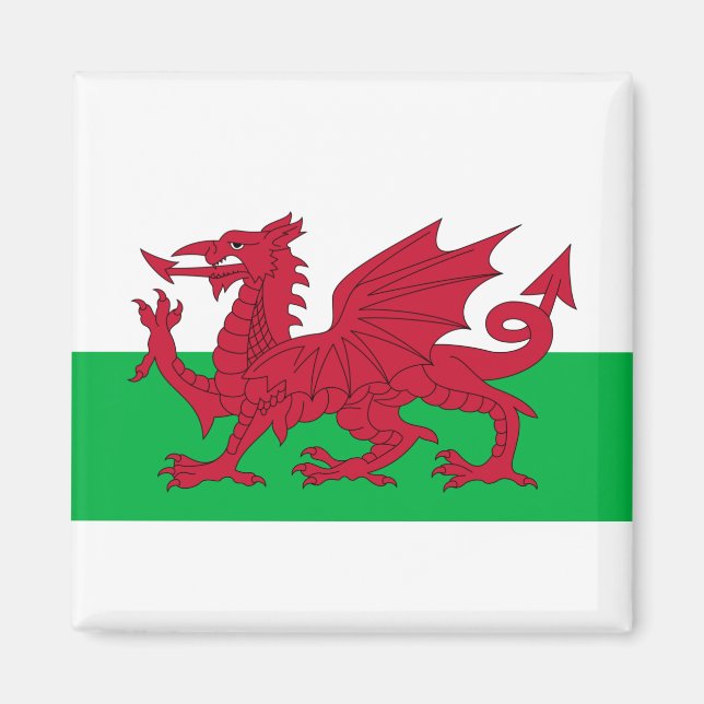 Wales-Flagge Magnet (Vorne)