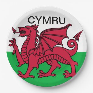 Wales-Flagge Roter Drache Cymru Walisische Partei Pappteller
