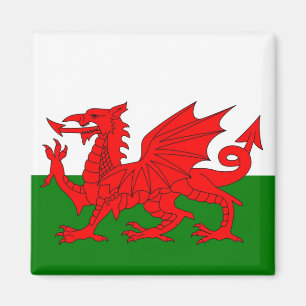Wales flagge Welsh Red Dragon Magnet