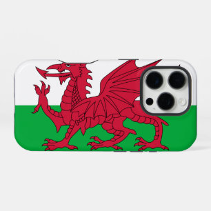 Wales iPhone 16 Pro Hülle