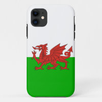 Wales-Landdracheflagge Waliser Briten