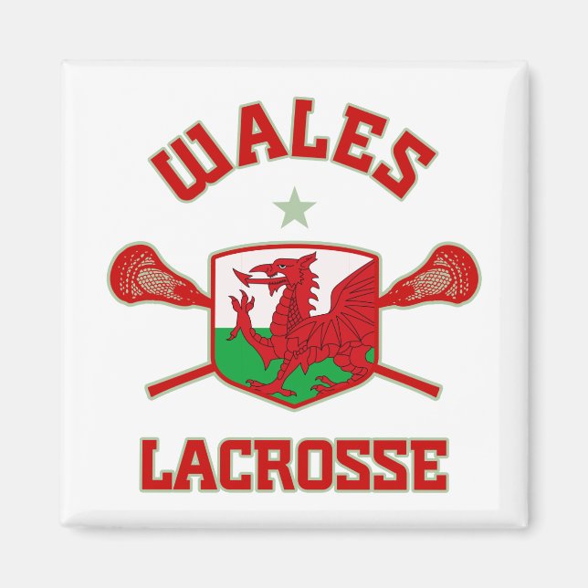 Wales Magnet (Vorne)