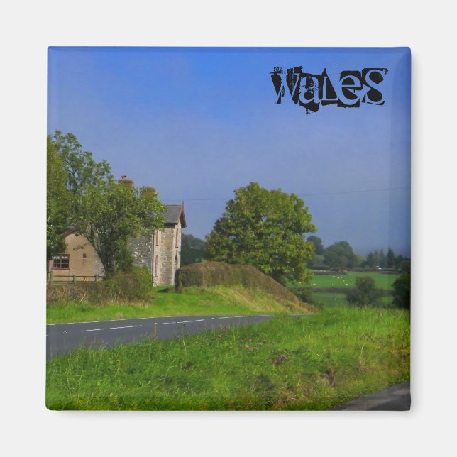 Wales Magnet (Vorne)