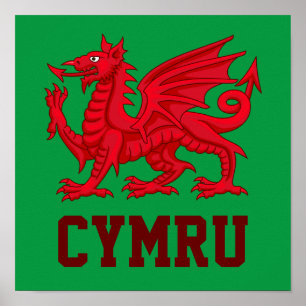 Wales Red Dragon - Grüner Hintergrund Poster