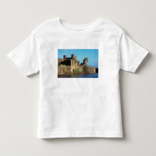 Wales - Schloss Caerphilly mit Blick auf die Kleinkind T-shirt