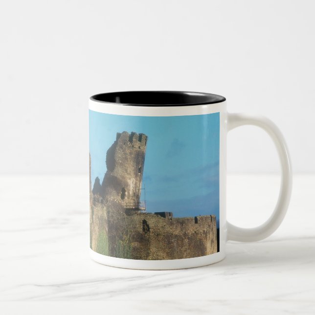 Wales - Schloss Caerphilly mit Blick auf die Zweifarbige Tasse (Rechts)
