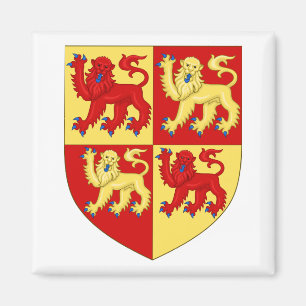 Wales-Wappen Magnet