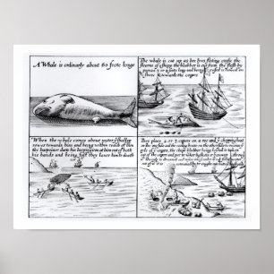 Walfang bei Spitzbergen im Jahre 1611 (Stich) (b/w Poster