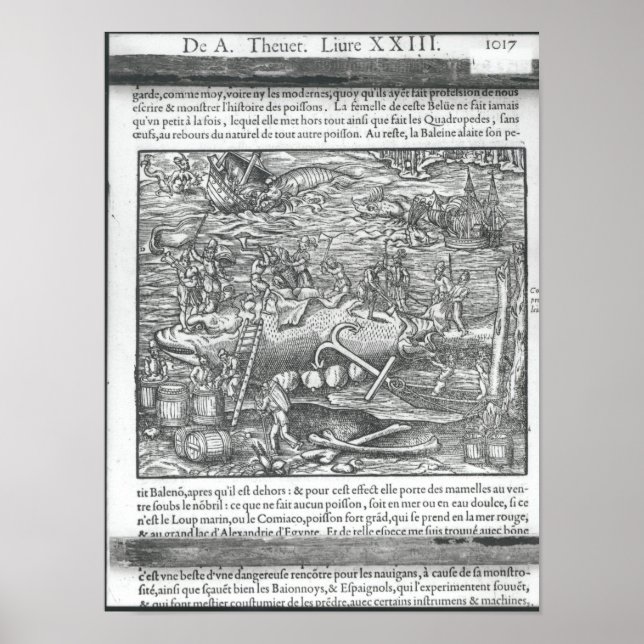 Walfang Poster (Vorne)