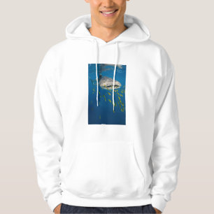 Walhai mit Fisch, Indonesien Hoodie