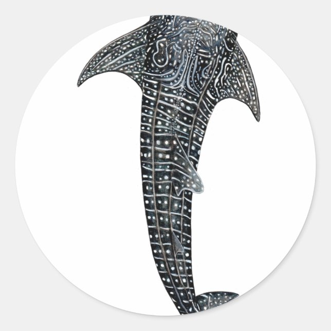 Walhai Runder Aufkleber (Vorderseite)