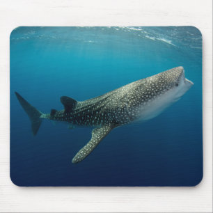 Walhai Schwimmen Mousepad