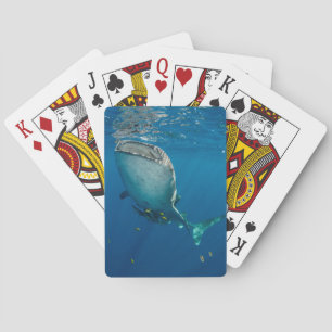 Walhai und Fisch Spielkarten