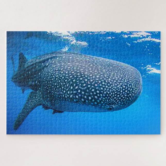 Walhaie Puzzle (Horizontal)