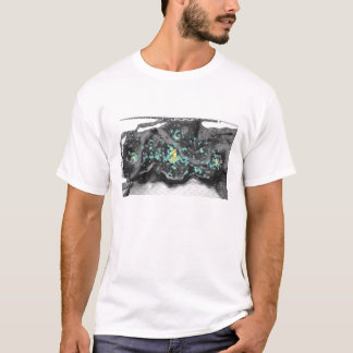 Walhall Heatmap T-Shirt